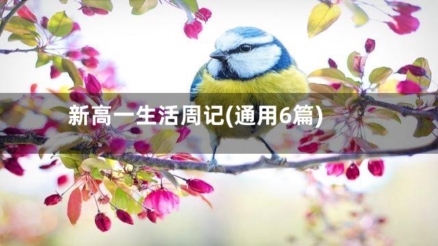 新高一生活周记(通用6篇)