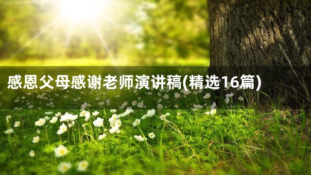 感恩父母感谢老师演讲稿(精选16篇)