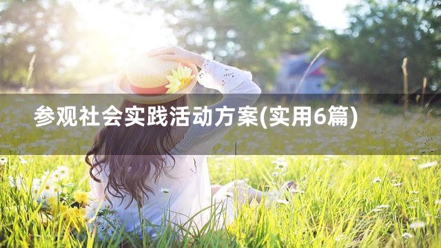 参观社会实践活动方案(实用6篇)