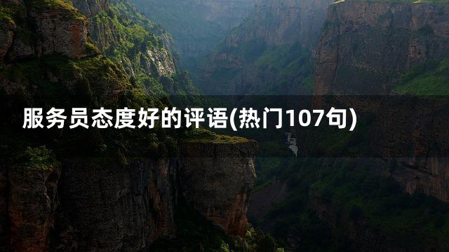 服务员态度好的评语(热门107句)