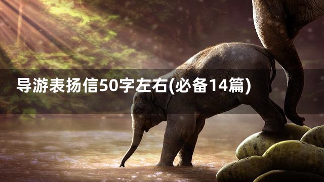 导游表扬信50字左右(必备14篇)