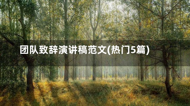 团队致辞演讲稿范文(热门5篇)