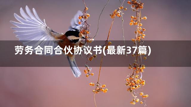 劳务合同合伙协议书(最新37篇)