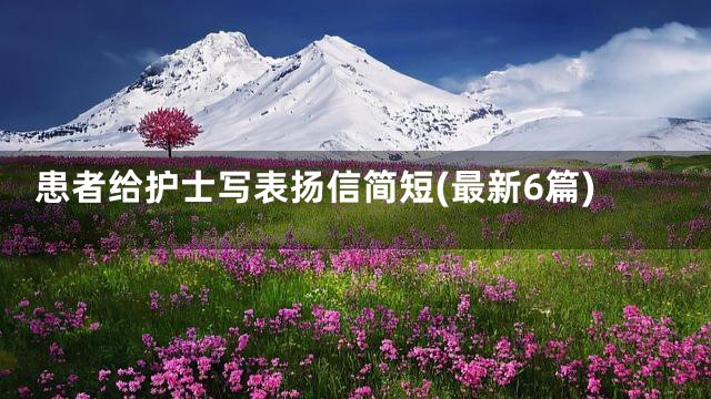 患者给护士写表扬信简短(最新6篇)