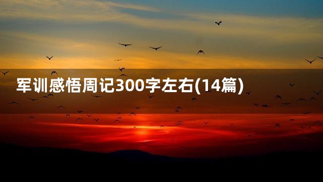 军训感悟周记300字左右(14篇)