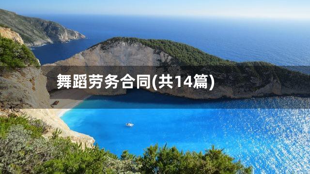 舞蹈劳务合同(共14篇)