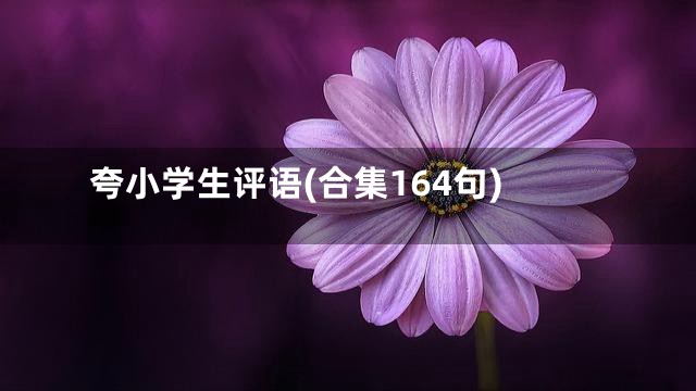 夸小学生评语(合集164句)