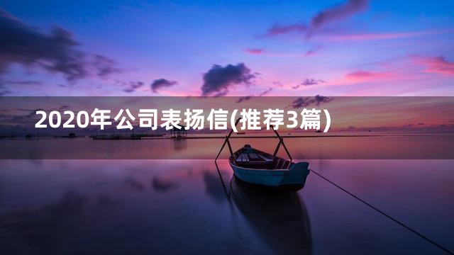 2020年公司表扬信(推荐3篇)