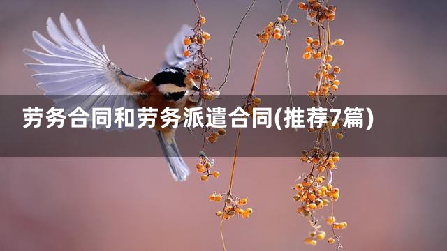 劳务合同和劳务派遣合同(推荐7篇)