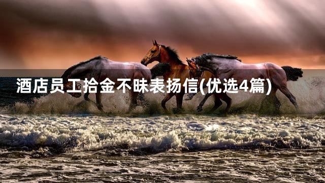 酒店员工拾金不昧表扬信(优选4篇)