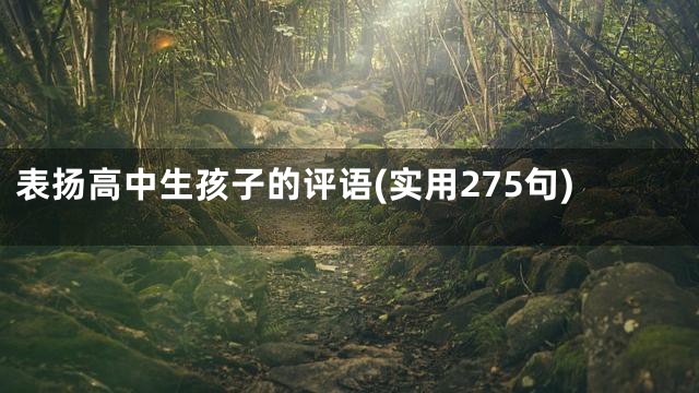 表扬高中生孩子的评语(实用275句)