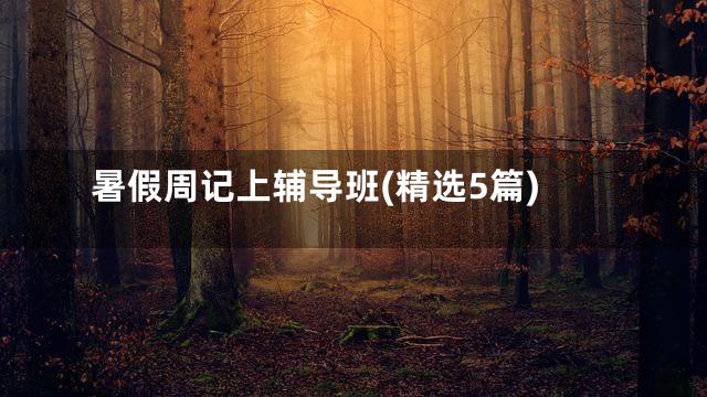 暑假周记上辅导班(精选5篇)