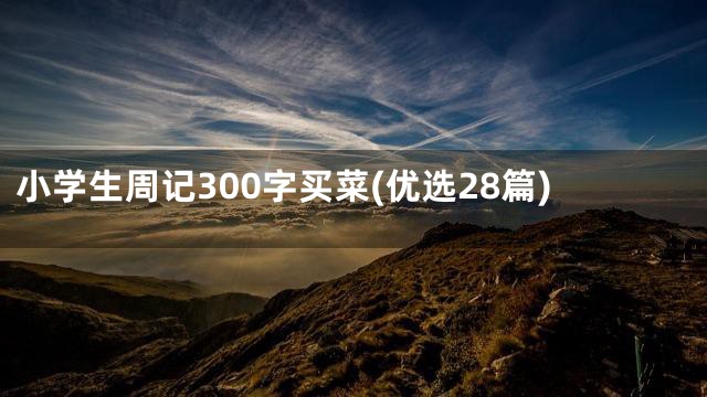 小学生周记300字买菜(优选28篇)