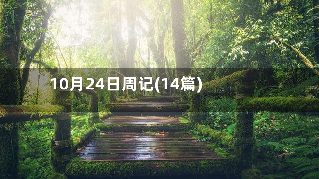 10月24日周记(14篇)
