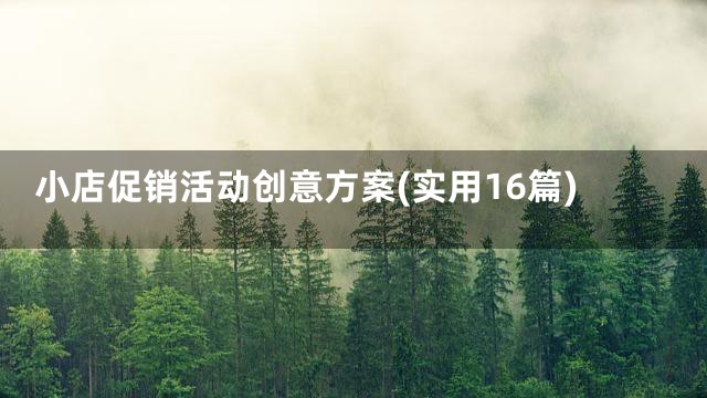 小店促销活动创意方案(实用16篇)