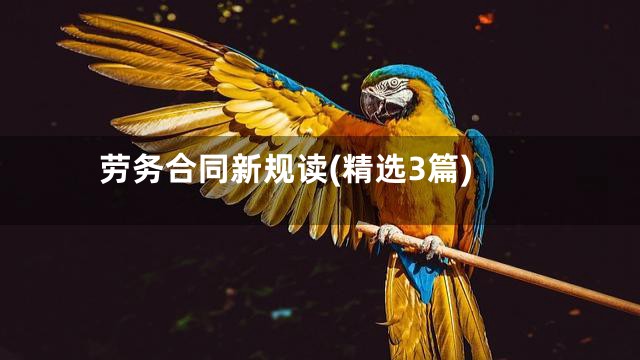 劳务合同新规读(精选3篇)