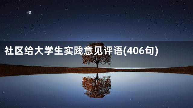 社区给大学生实践意见评语(406句)