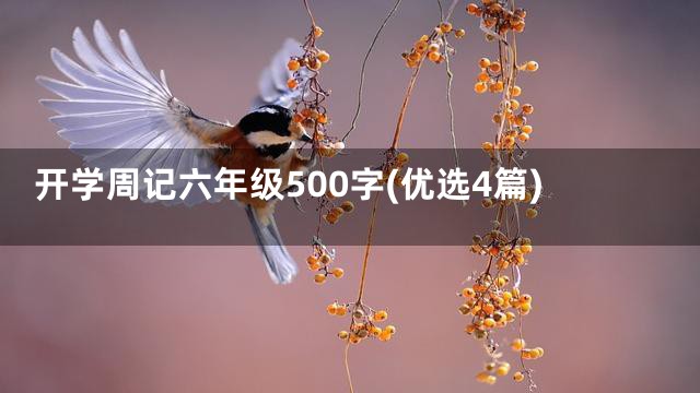开学周记六年级500字(优选4篇)