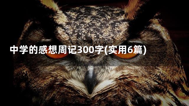 中学的感想周记300字(实用6篇)