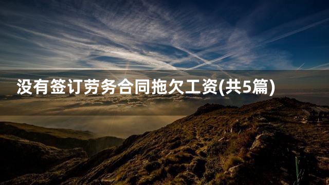 没有签订劳务合同拖欠工资(共5篇)