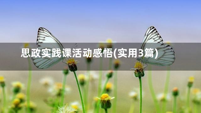 思政实践课活动感悟(实用3篇)