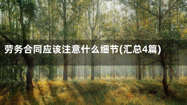 劳务合同应该注意什么细节(汇总4篇)