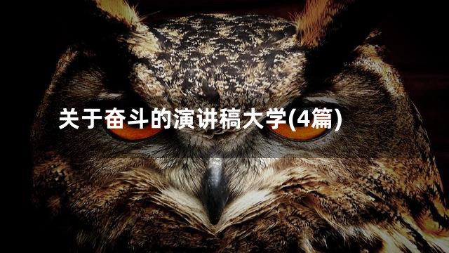 关于奋斗的演讲稿大学(4篇)