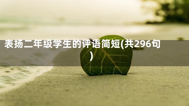 表扬二年级学生的评语简短(共296句)