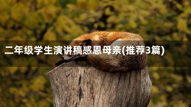 二年级学生演讲稿感恩母亲(推荐3篇)