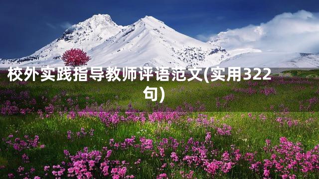 校外实践指导教师评语范文(实用322句)