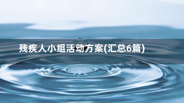 残疾人小组活动方案(汇总6篇)