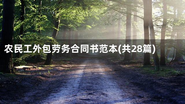 农民工外包劳务合同书范本(共28篇)