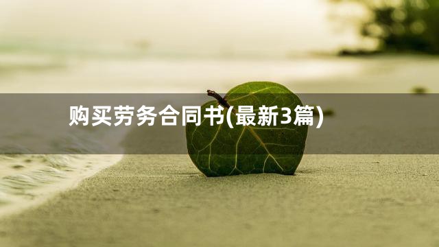购买劳务合同书(最新3篇)