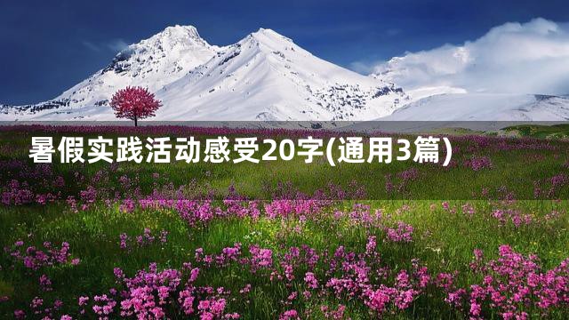 暑假实践活动感受20字(通用3篇)